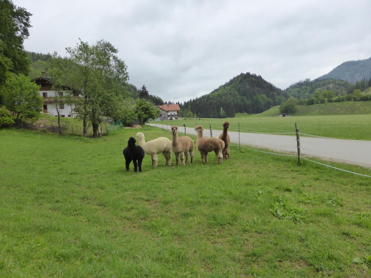 - - Cafe Doerfl Guest house Kiefersfelden